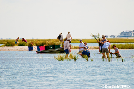 Marsh restoration